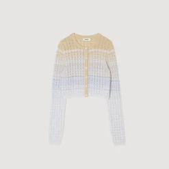 Ensembles|Pulls & Cardigans*SANDRO Gilet En Maille Dégradée Bleu / Doré