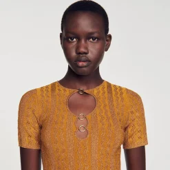 Ensembles|Pulls & Cardigans*SANDRO Top En Maille Scintillante Ambre